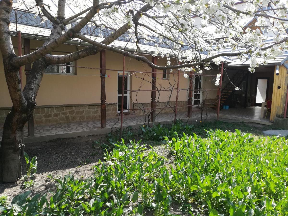 Hotel Casa Bucur à Tîrgu Ocna Extérieur photo